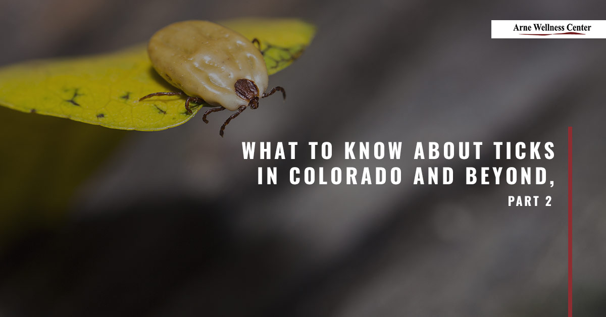 What-to-Know-About-Ticks-2-5aafda4e9e0fa