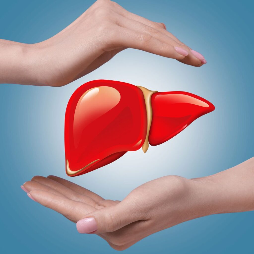 A healthy detoxified organ