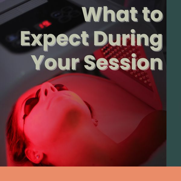 What to expect during your session