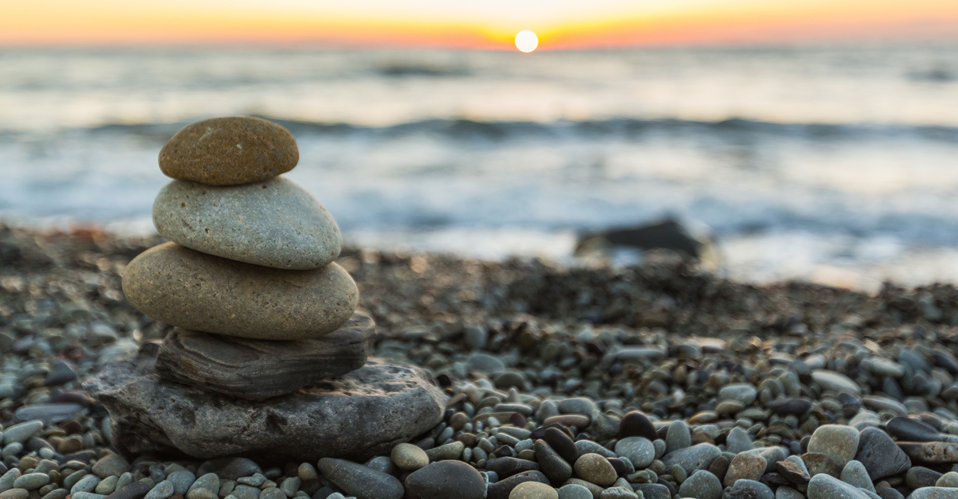 From Pain Relief to Wellness BB Featured Image