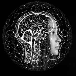 neurological connections